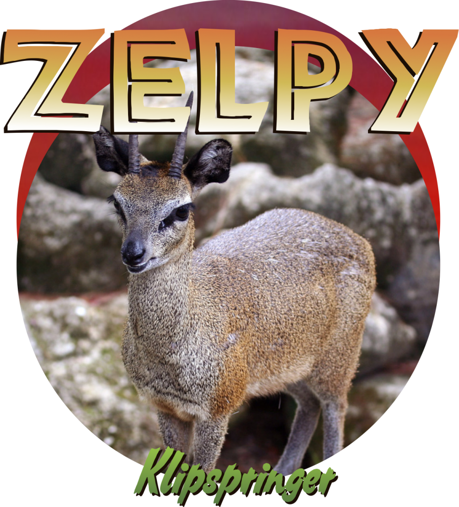 Klipspringer