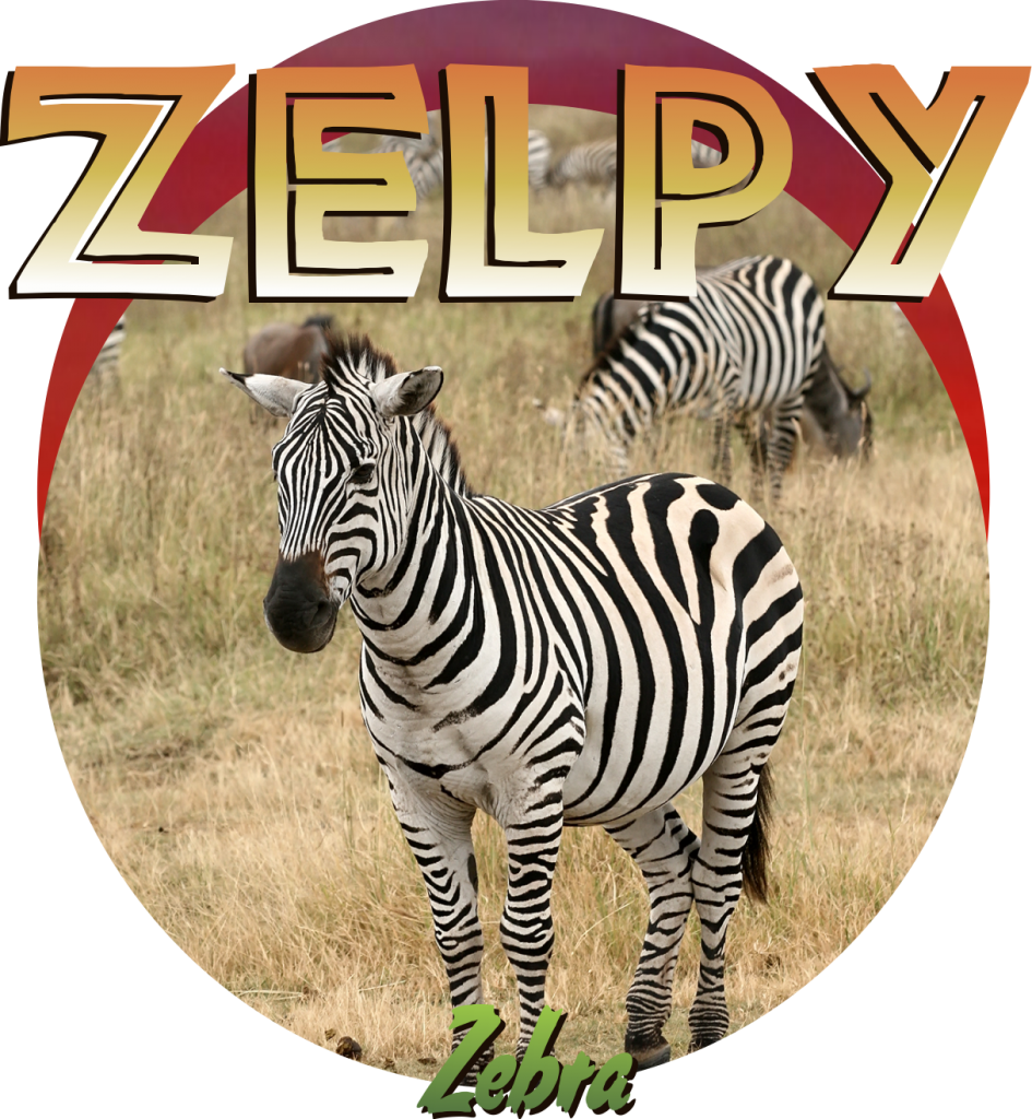 Zebra